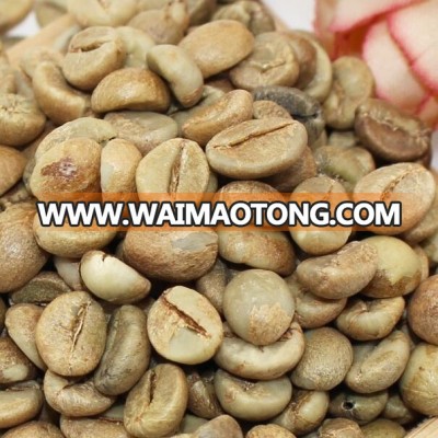 Green robusta coffee beans grow in Vietnam